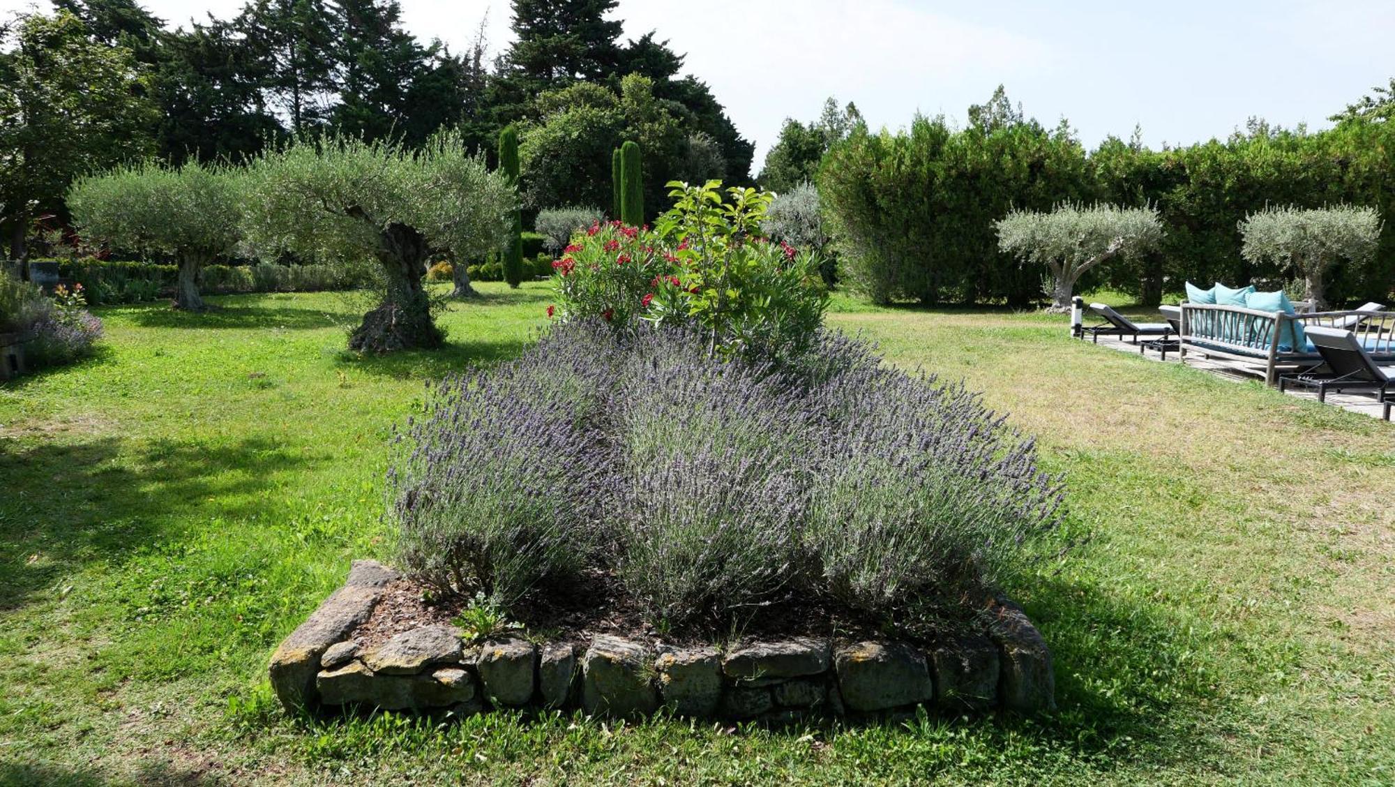 Superbe Mas Provençal 600m2 avec une Superbe Piscine Chauffée et très grand jardin 9000m2, situé au cœur du Luberon en campagne proche de L'Isle sur la Sorgue, 12 personnes, LS2-17 FIGNOULADO Cavaillon Exterior foto